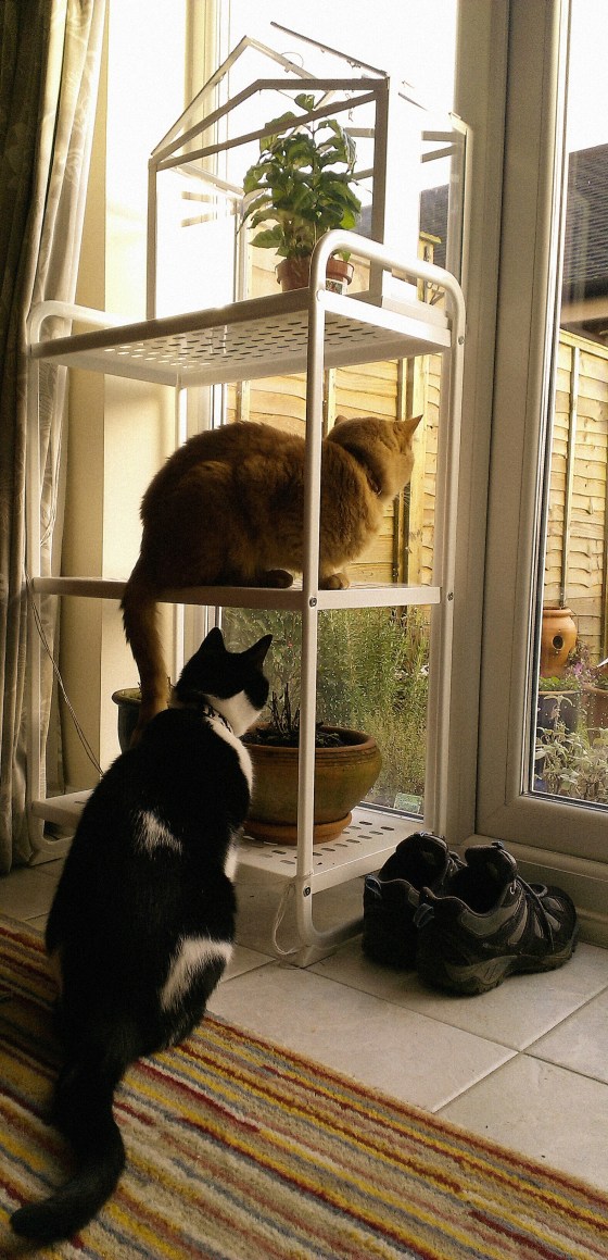 IMAG1362_20140122092821140_20140309091714294.jpg image